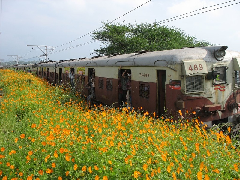 L7Down_BGWD_30sept2006