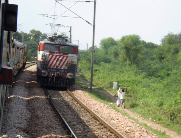 Tigerface AJNI WAG-7 # 27130 at sawai madhopur outer with container load. (Dhirendra Maurya)