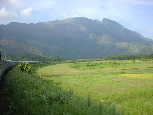 SANY0127.jpg