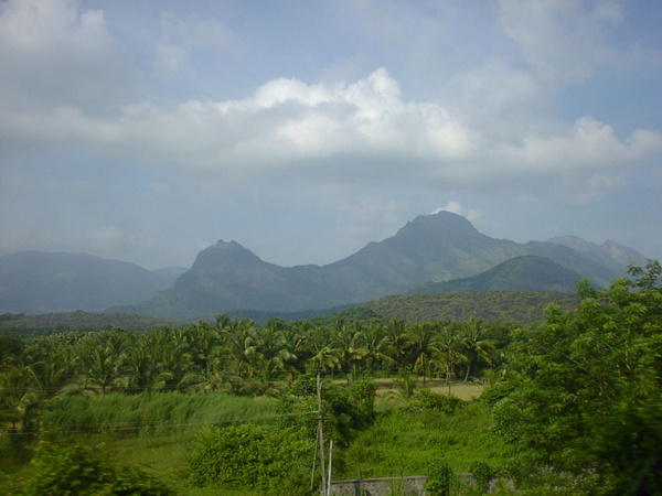 SANY0124.jpg