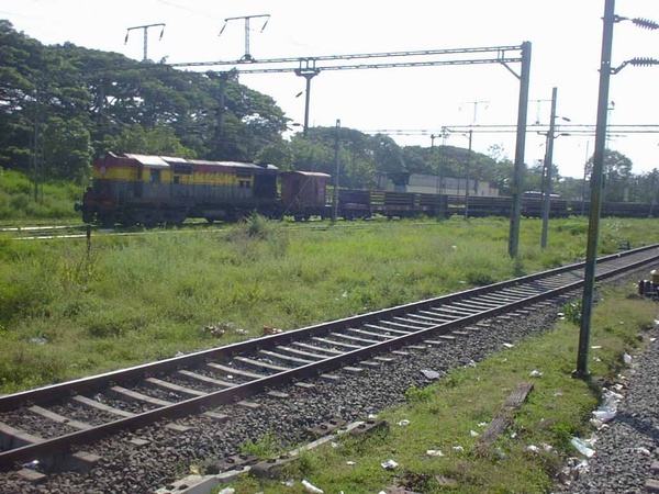 SANY0109_001.jpg
