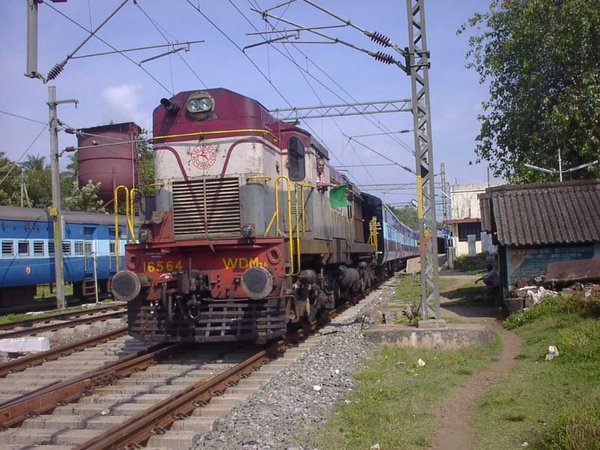 SANY0104.jpg