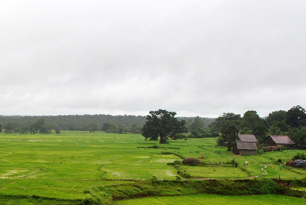 0009b-landscape-londa