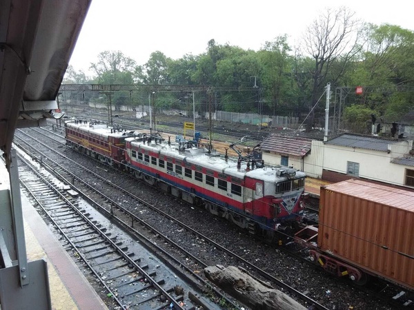 BL_WAG5_23811_at_MMR