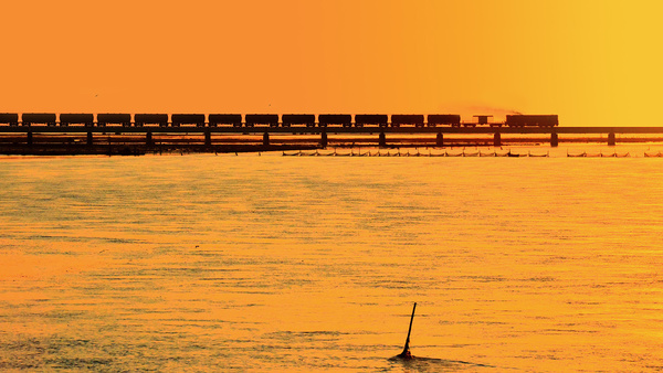 Trips to West India & Konkan region