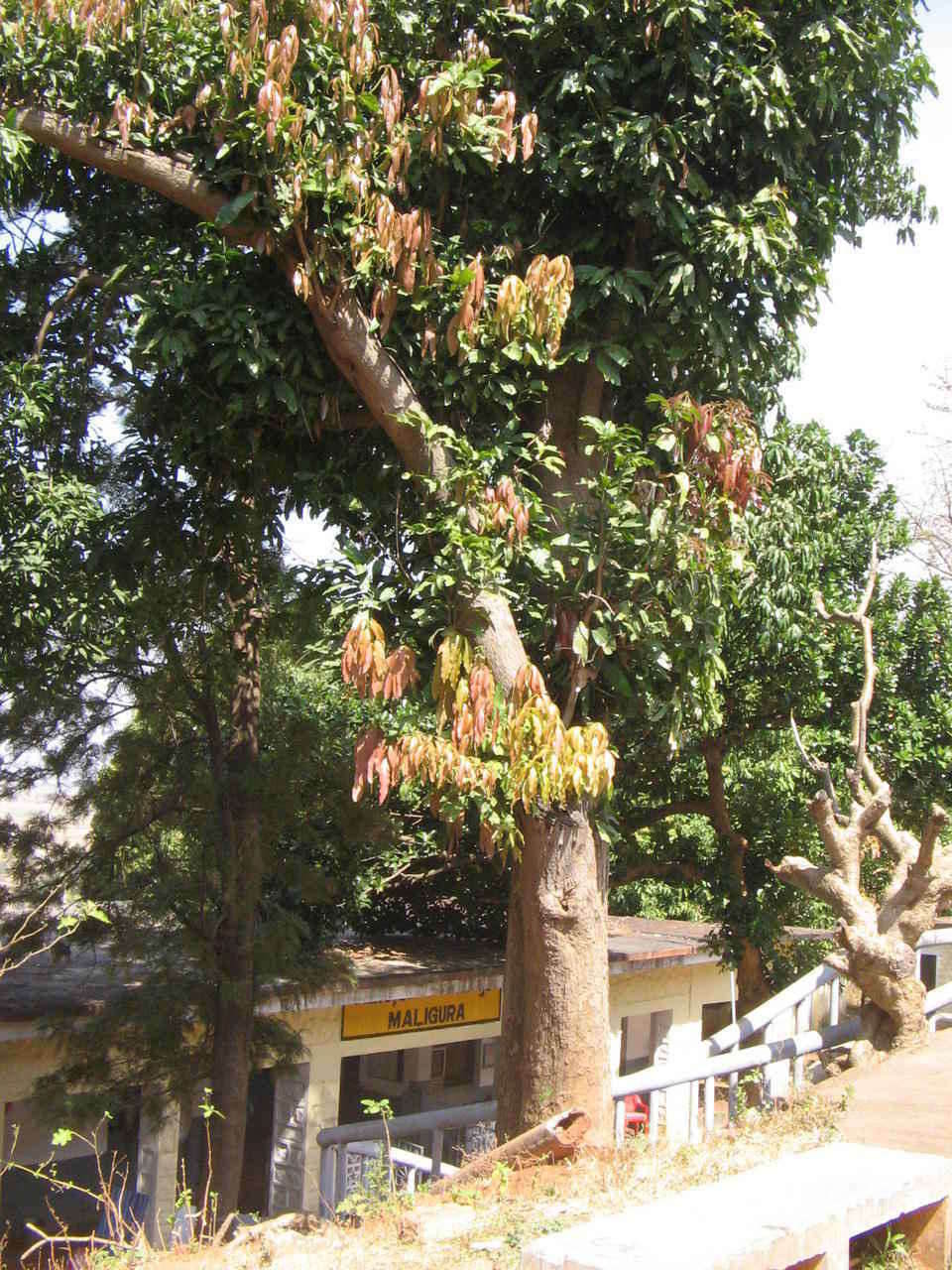 malliguda station