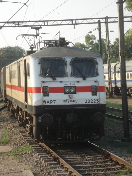 DSC03791 (768 x 1024)