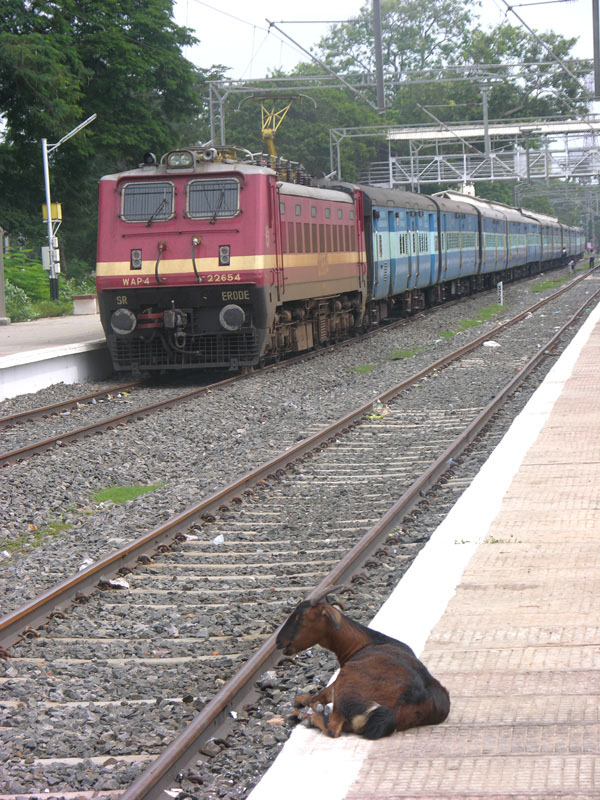 wap4pondi