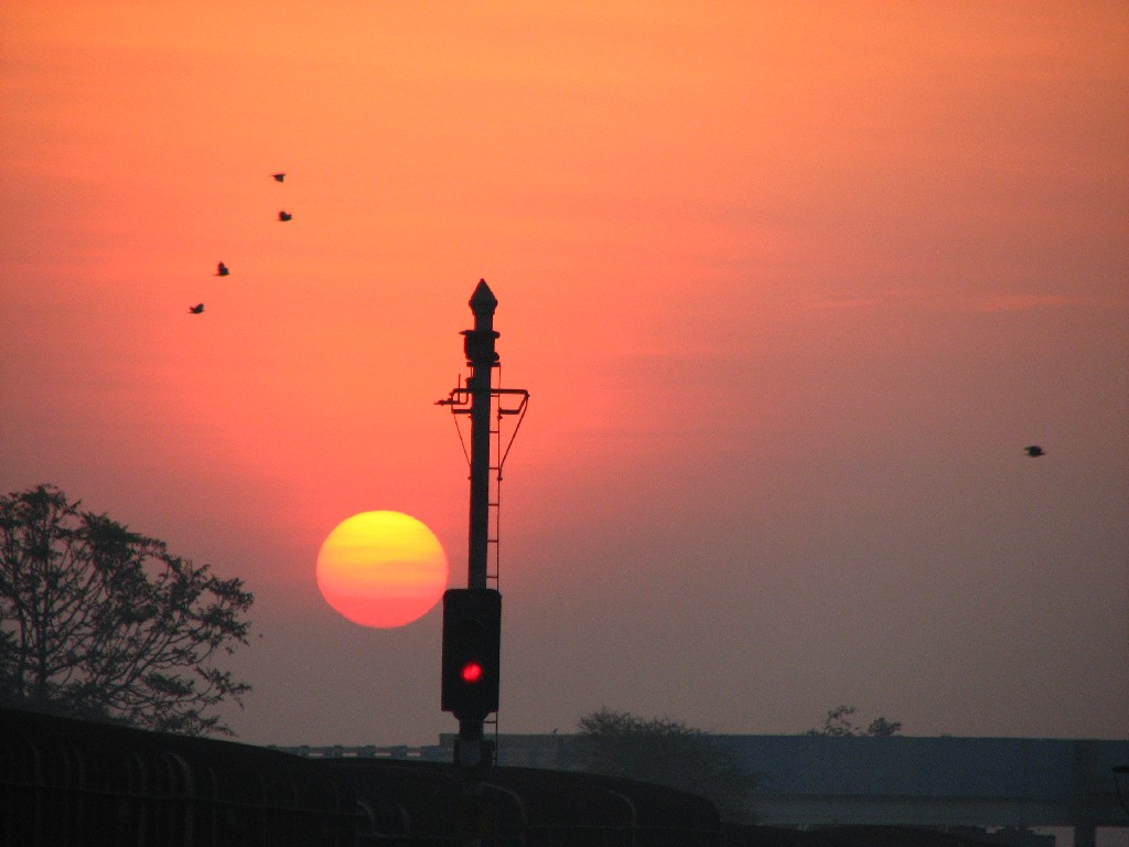 Sunrise_Birds