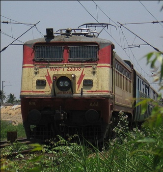 2610_amidst_greenery