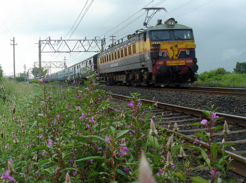 CAPE exp outside Shelu