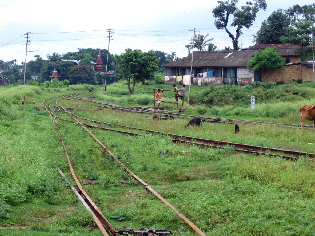 tezpur_stn_undergrowth.jpg