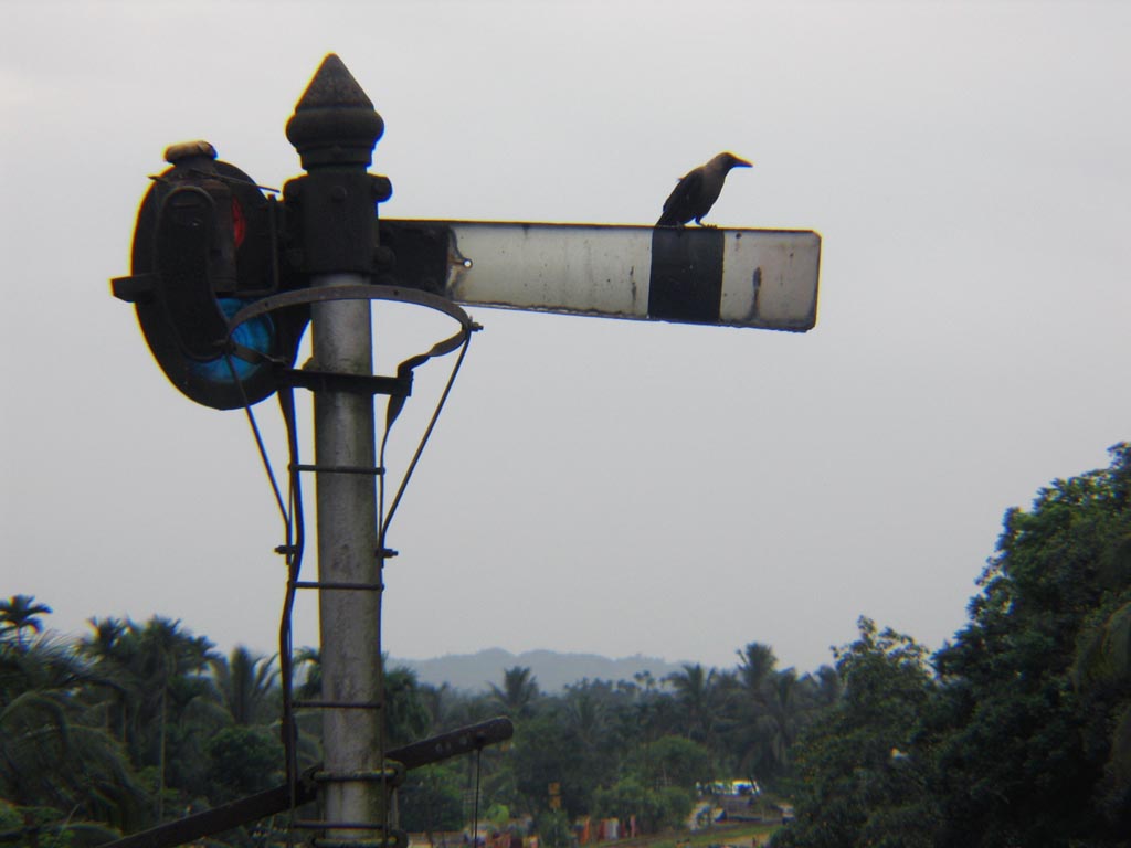 silchar_signal.jpg