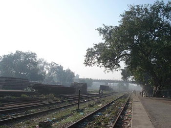 DSC02019