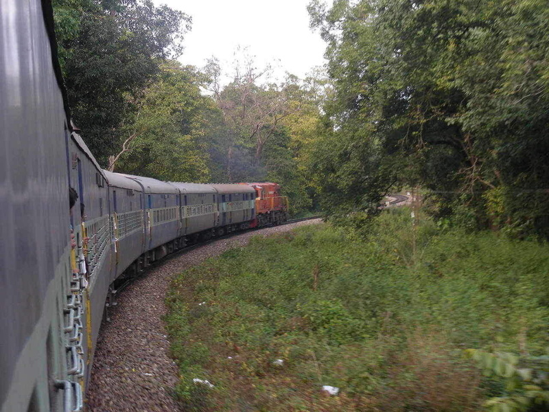 S Curve: Negotiating one of many S Curves that fall in way.  Right now it is passing through the core zone of Rajaji National Pa