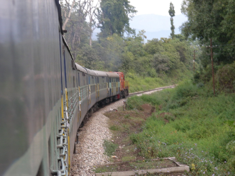 Last patch of forest cover before Dehradun. 