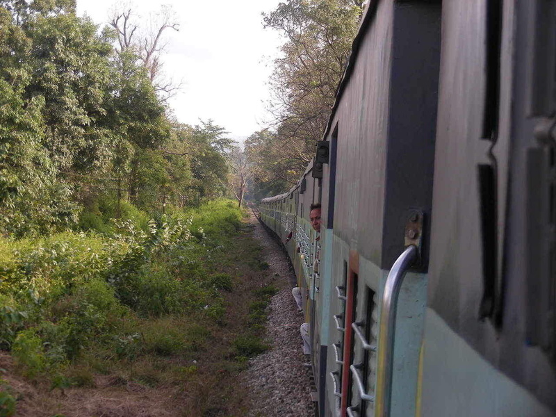 Metal Snake in the Kansrao Jungle. With Guard Sahib having anxious moments. 