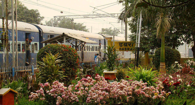 Garden at Dabara