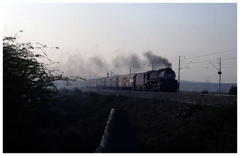 palwal_pass.jpg