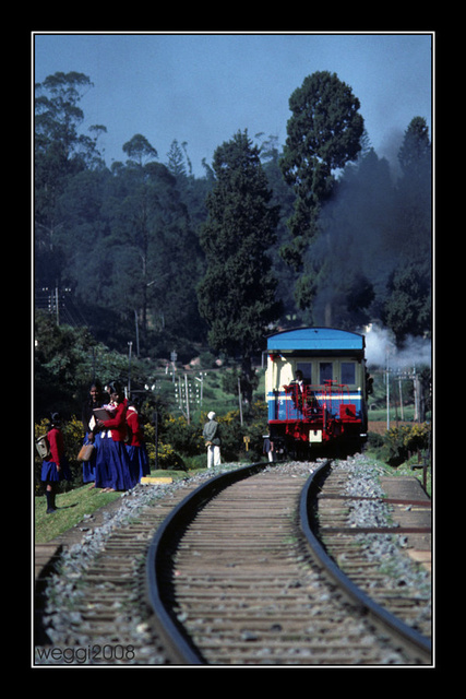 ooty-schoolmates