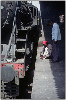 old-delhi-wp-repair