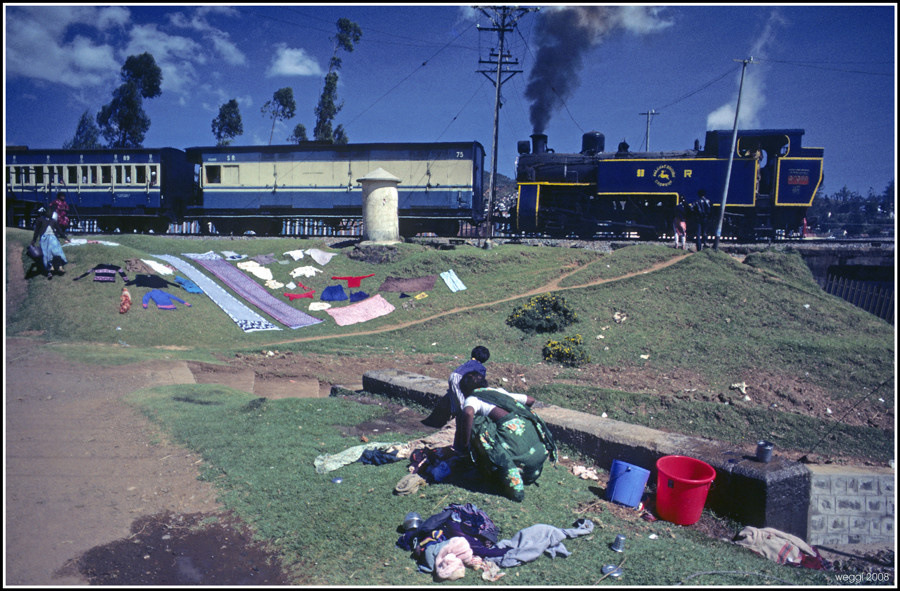 ooty-washing-day