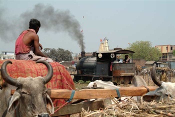 oxcart_drivers_view.jpg