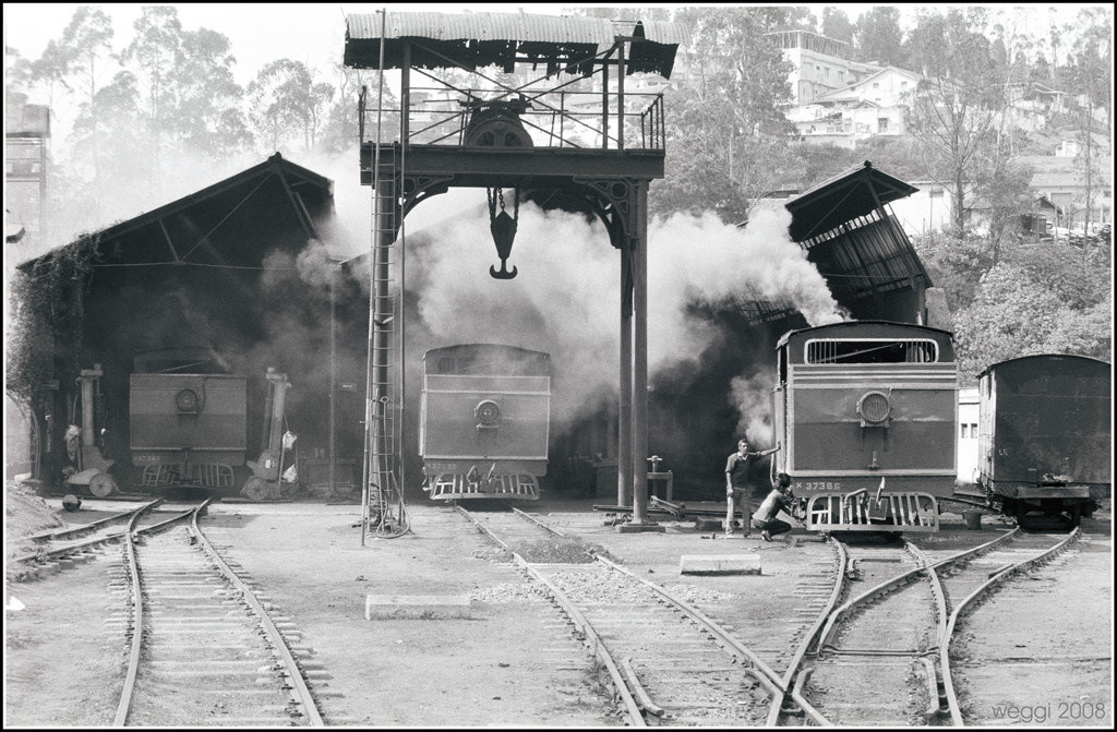 coonoor-shed-full