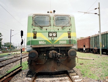 wag9_31000_amla2.jpg