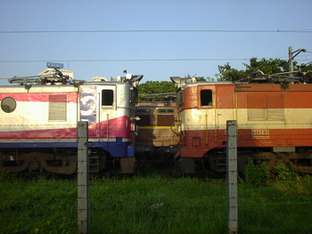 SANY0237.jpg