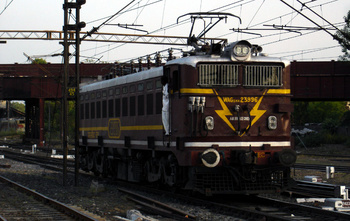 wag5_002.jpg