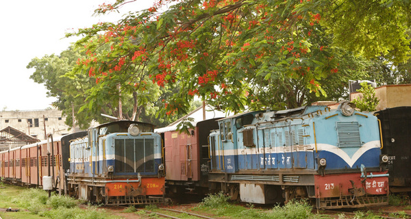 mrj-morning-yard-final