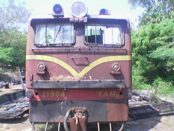 yam05.jpg