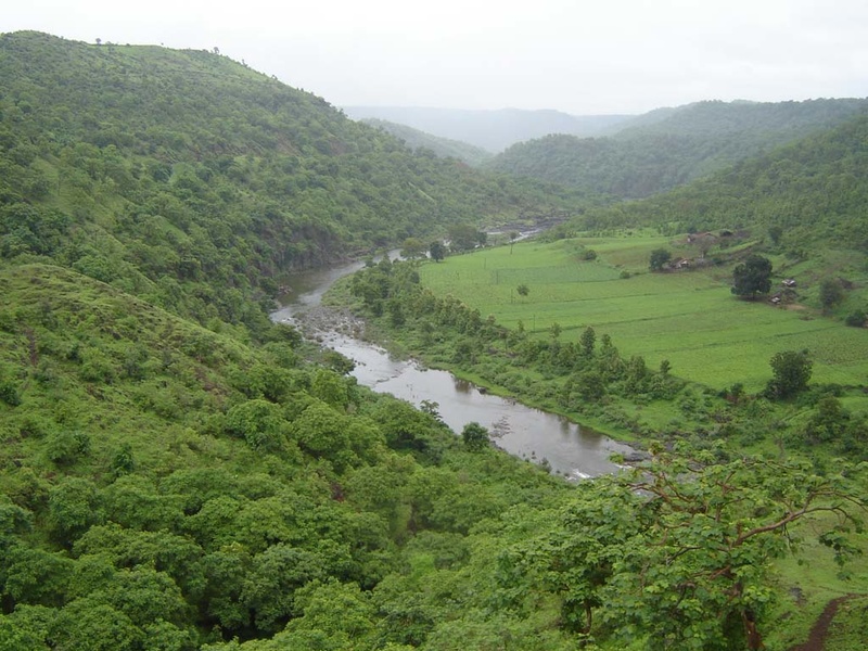 Greenflats in Monsoon