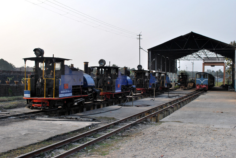 310_dhr_shed_siliguri