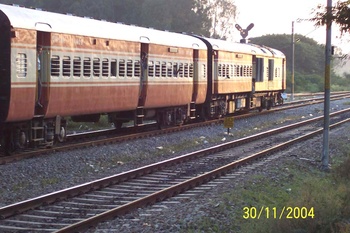 demu.jpg