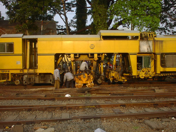Sany0038.jpg