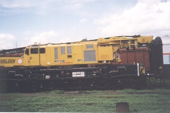 cowans_sheldon_crane_2001.jpg