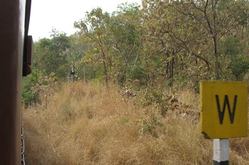 tiny signal Wan Road 23Dec2008