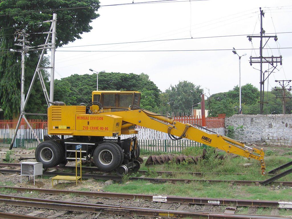 Ameca_crane_PA_10july2005.jpg