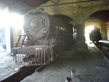 Another loco YP-2150 is situated beside the YG-2129 and the side view of YP-2825. Puppies were also with me. By Alpesh Rathod. (