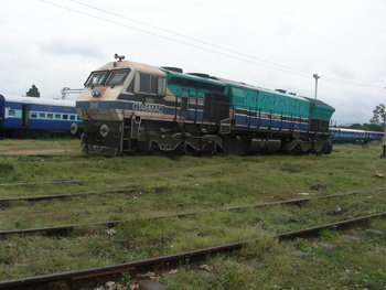 DSCN2936