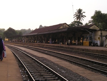 P1010023.jpg