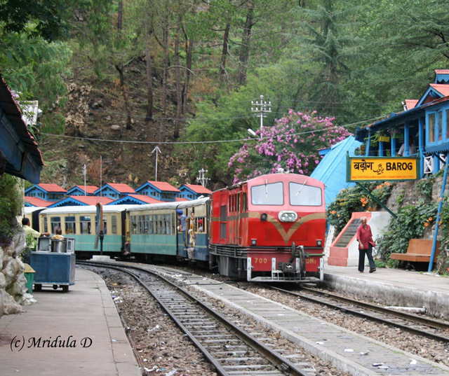 Barog-Railway-Station-Barog-771136