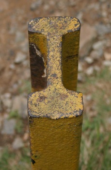 IMG_0570cropped.jpg