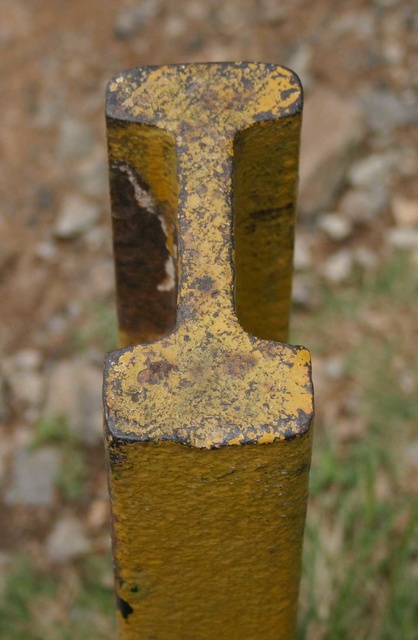 IMG_0570cropped.jpg