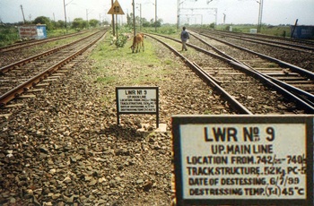 Trackside_LWR_copy.jpg