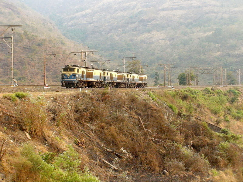 Triple KYN WCG2's seem to be patrolling the jungle near Palasdhari, Maharashtra. (Arzan Kotval)