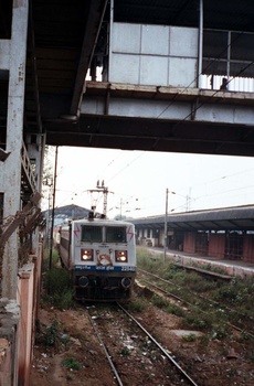 WAP4E_22540_Rajhans.jpg