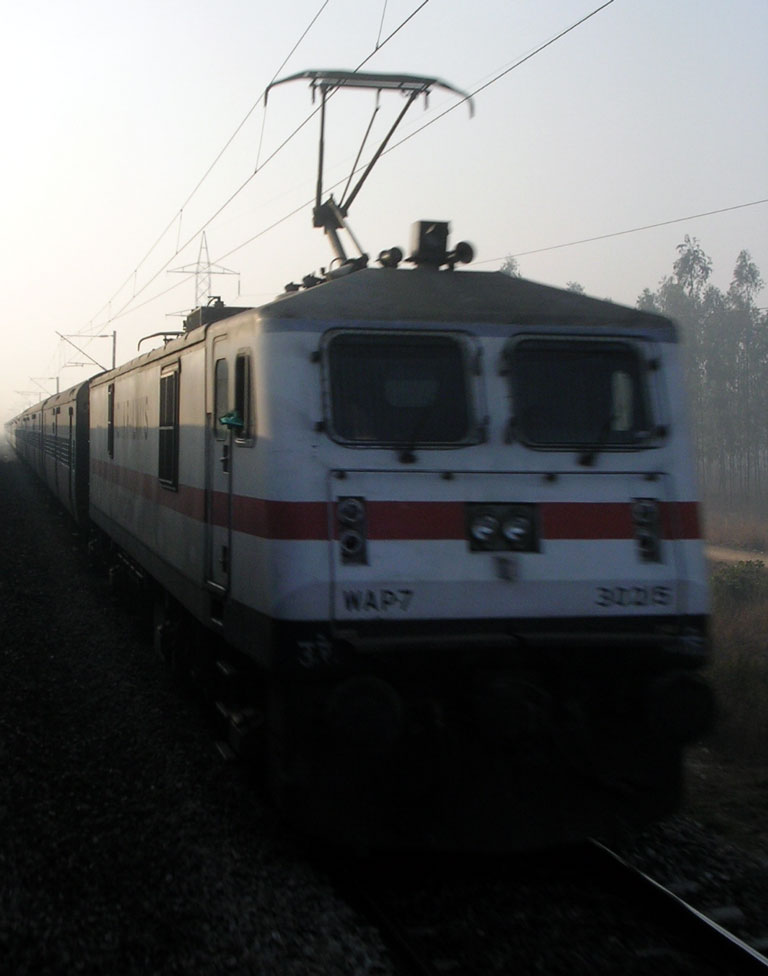 GZB_WAP7_30215_Himalayan_Qu.jpg